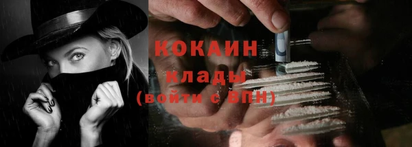 дурь Богородицк
